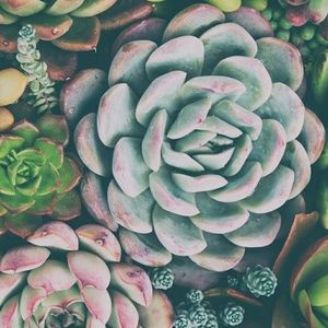 Meet your Posher, Addie